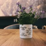 pexels brigitte tohm 36757 131900